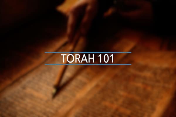 TORAH-101
