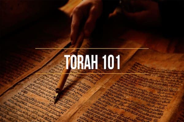 torah-101 copy