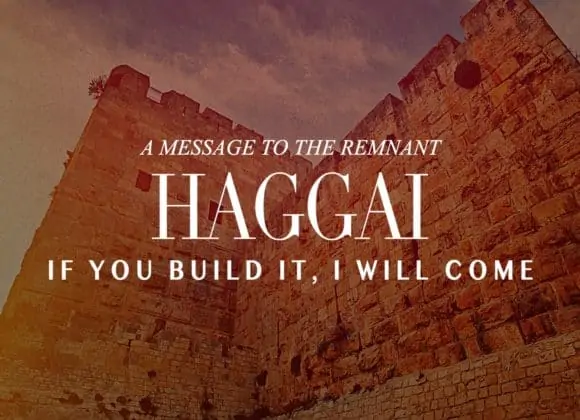 Haggai – If you build it, I will come. A Message to the Remnant Haggai – If you build it, I will come. A Message to the Remnant