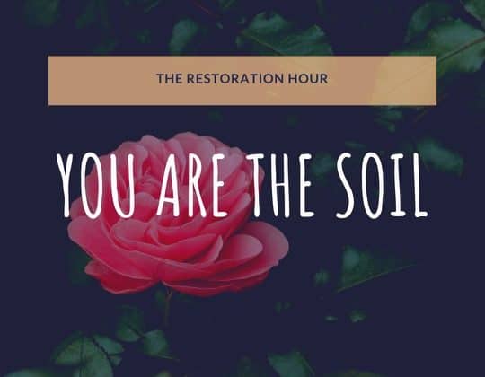 You are the Soil. You are the Soil.