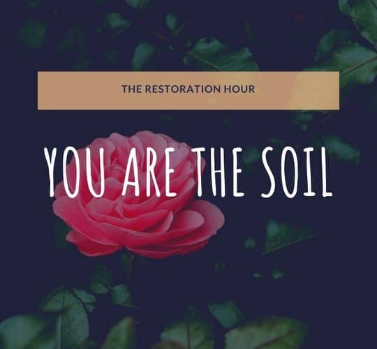 You are the Soil.