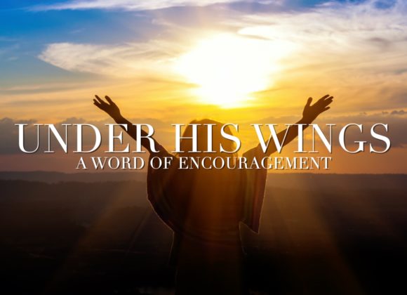 Under His Wings – A Word of Encouragement