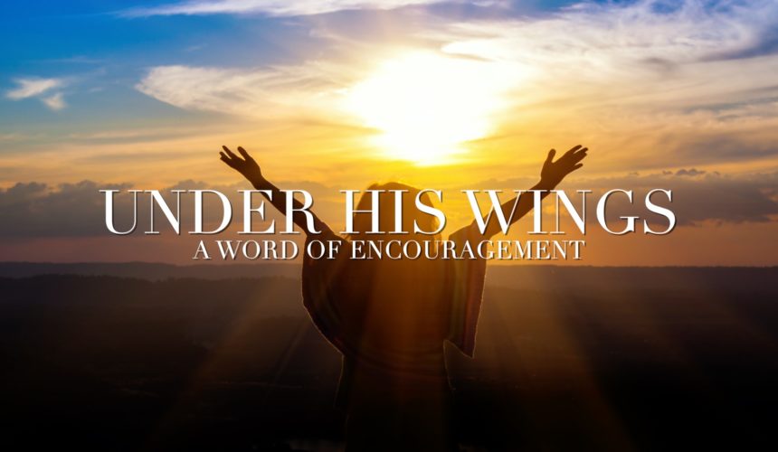 Under His Wings – A Word of Encouragement